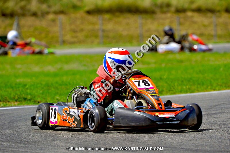 DSC_ (1523).jpg